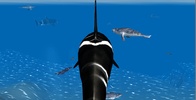 Orca Simulator screenshot 4