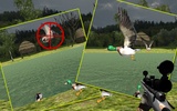 Sniper Duck Hunting screenshot 3