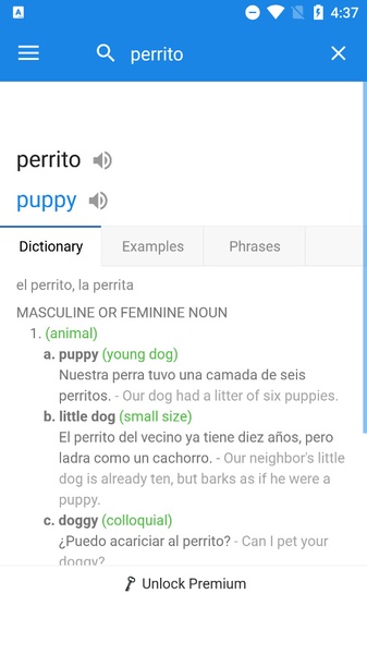SpanishDict - Preview 15