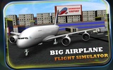 Big Airplane Flight Simulator screenshot 12