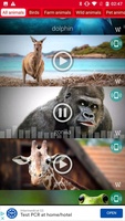 Animals: Ringtones for Android 2
