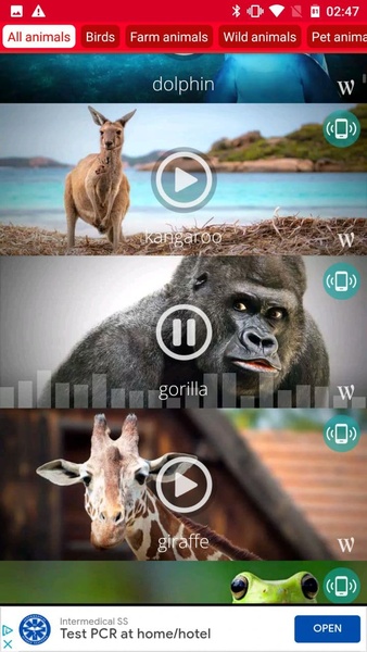 Animals: Ringtones - Preview 8