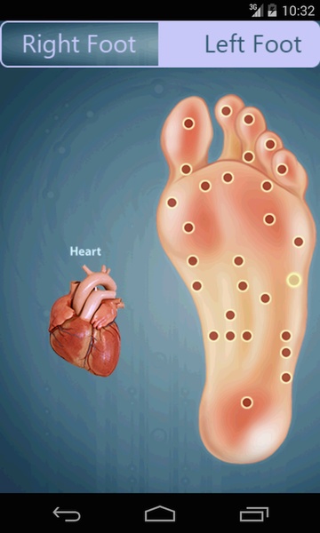 Reflexology - Preview 3