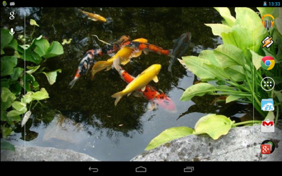 Realistic Koi - Preview 2