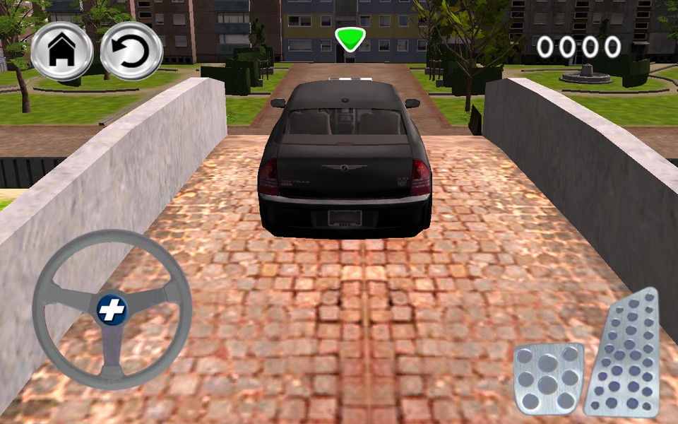 black Car Parking - Preview 2