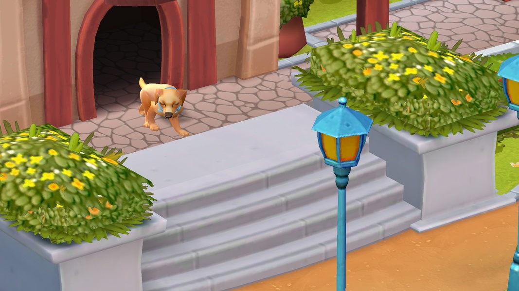Doggie Dog - Preview 3