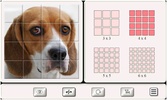 Guess the Dog: Tile Puzzles screenshot 7