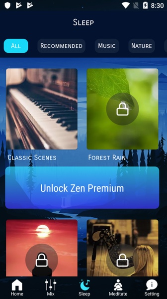 Zen Meditation - Preview 3