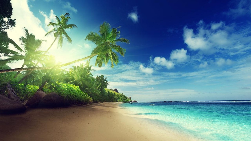 Beach Live Wallpaper - Preview 5