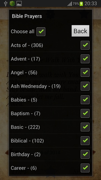 Bible Prayers - Preview 3