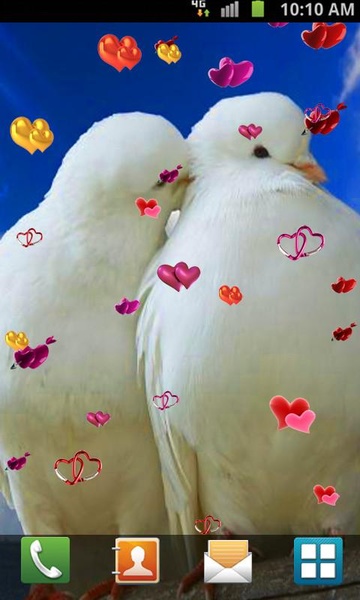 Love Birds Live Wallpaper - Preview 10