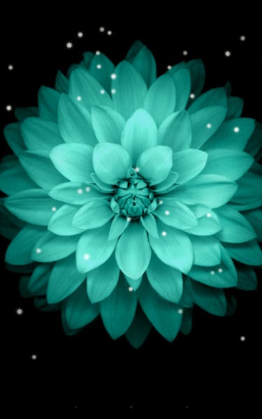 Galaxy Flower - Preview 6
