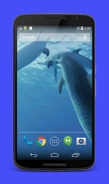 Dolphins Video Live Wallpaper - Preview 5
