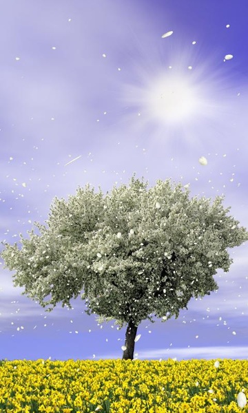 Spring Trees Free - Preview 2
