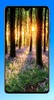 Beautiful Spring Wallpaper 4K screenshot 7