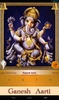 Ganesh Aarti: Jai Ganesh Deva screenshot 12
