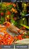 Singing Birds LWP screenshot 1