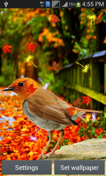 Singing Birds LWP - Preview 1