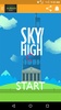 SKY HIGH GAME screenshot 2