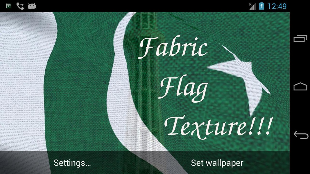 Pakistan Flag - Preview 4