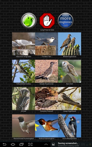 Classic Bird Calls - Preview 2