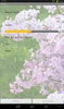 Lilacs Live Wallpaper screenshot 1