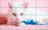 Cats Puzzle screenshot 6