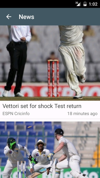 Fanzy Cricket - Preview 8