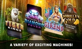 Tiger King Casino Slots screenshot 13