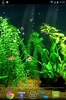 Fish Tank HD screenshot 3