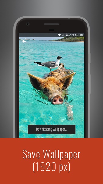 Funny Wallpapers - Preview 5