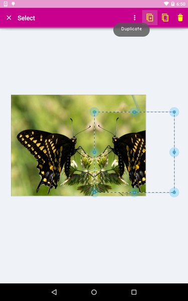 Image Search Activity - Preview 1