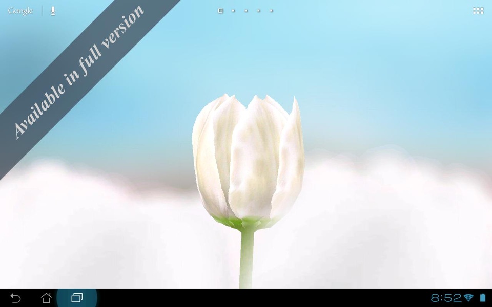 3D Tulip Free - Preview 1