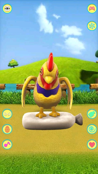 Talking Chicken - Preview 7