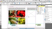 Adobe InDesign screenshot 3