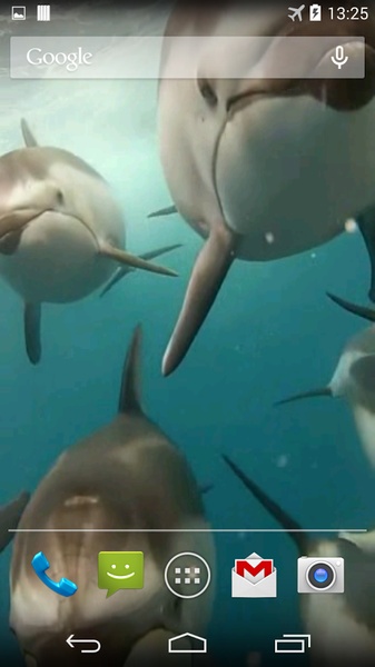 Dolphins Live Wallpaper - Preview 2