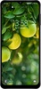 Fruit Wallpapers screenshot 10