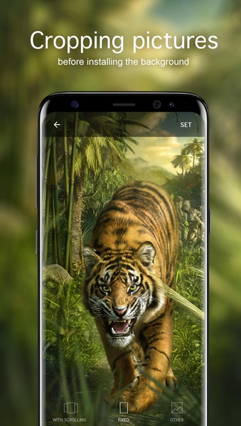 Tiger Wallpapers - Preview 3