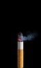 Cigarette Smoke (Free) screenshot 4