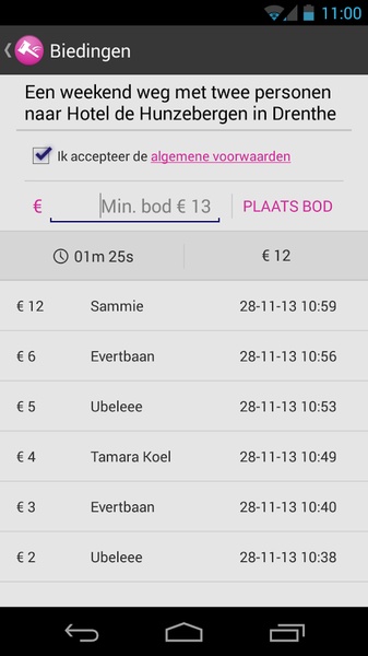 TicketVeiling - Preview 4
