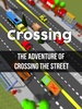 Crossing screenshot 5