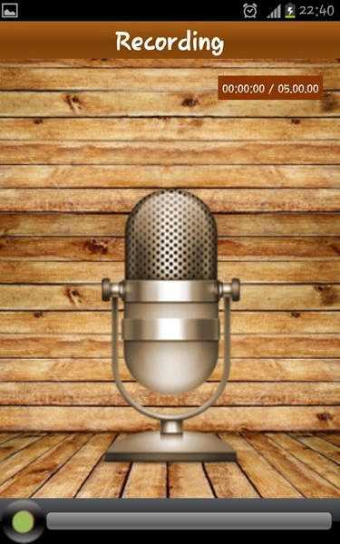 Audio Diary - Preview 6