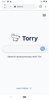 Torry - Surf Tor & Onion Sites screenshot 2