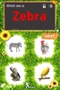 Kids Education Puzzle (Free) screenshot 3