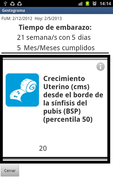 Gestograma - Preview 5