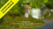 Real Mushroom Hunting Simulator 3D screenshot 6