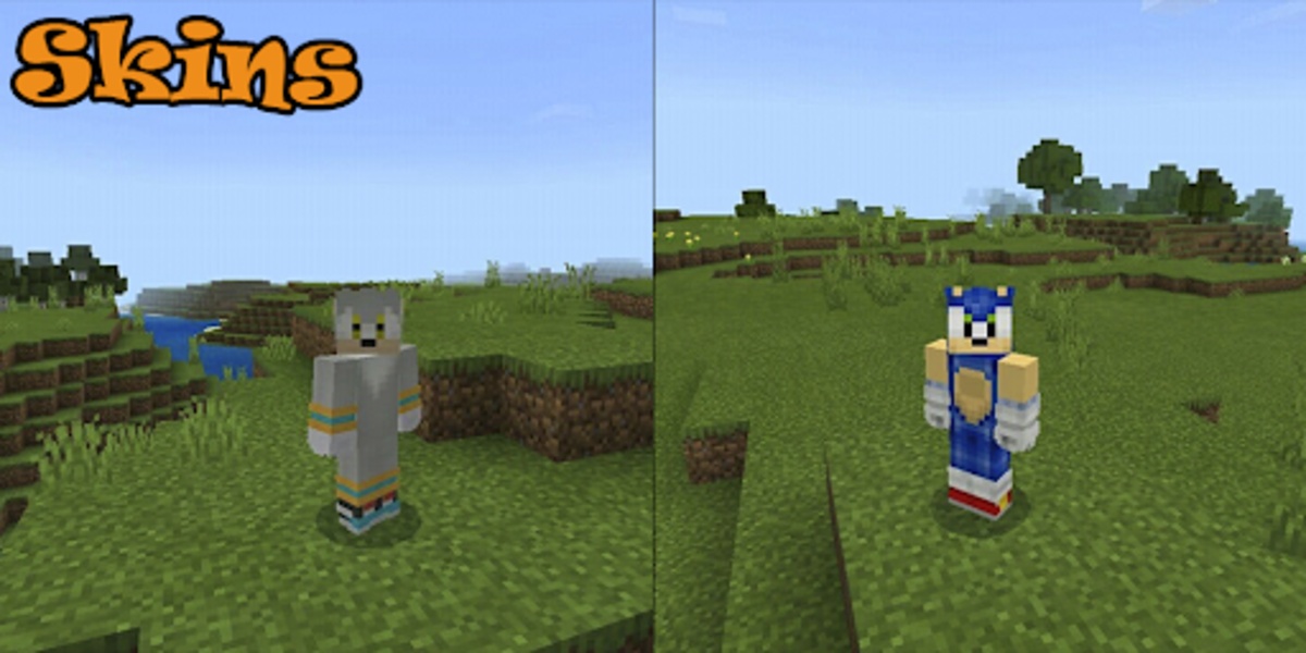 Sonic Skins - Preview 3