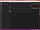 Visual Studio Code screenshot 2