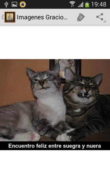 Imagenes Graciosas - Preview 6