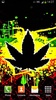 Rasta Maconha Papel de Parede screenshot 4